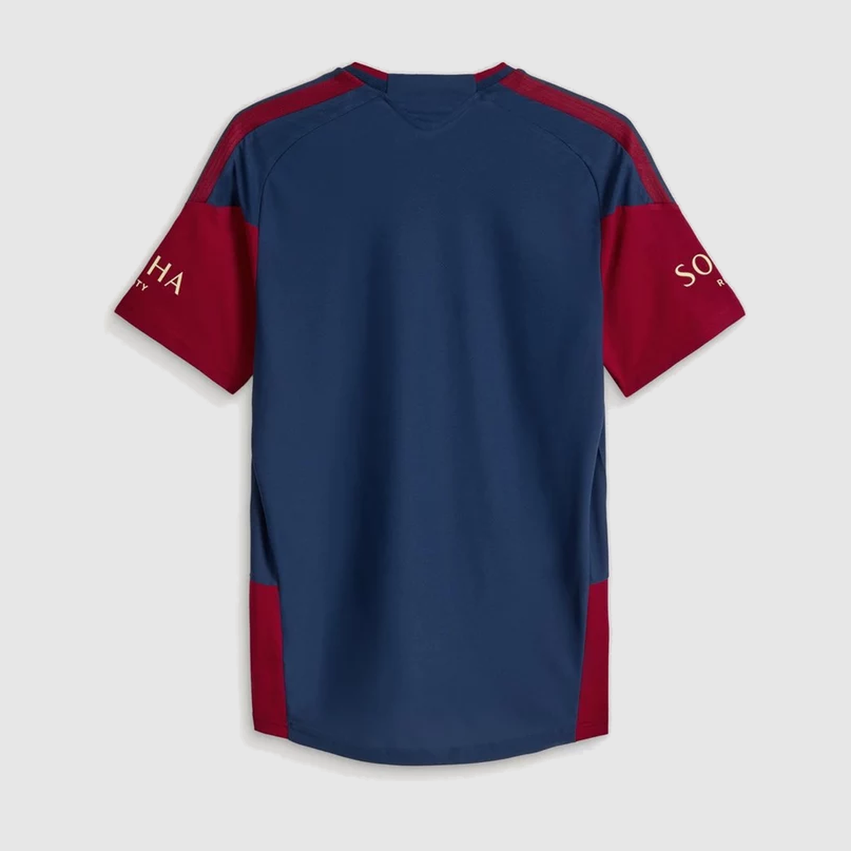 Player Version Training Jersey 26/27