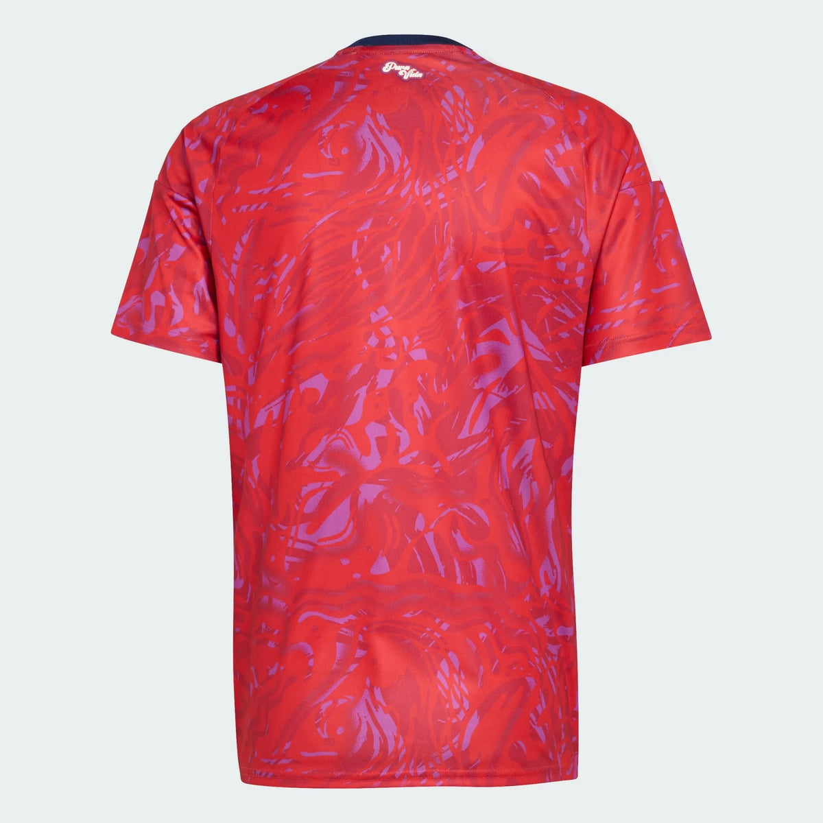 Camiseta de Costa Rica 2026 I Fan de la Copa Mundial