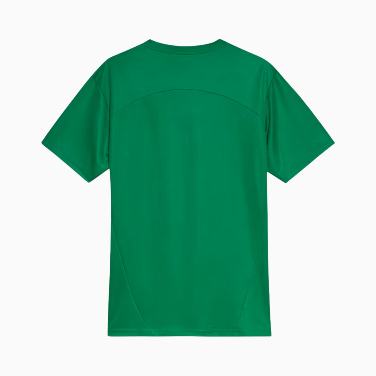 Jersey Palmeiras 2025/26 Training