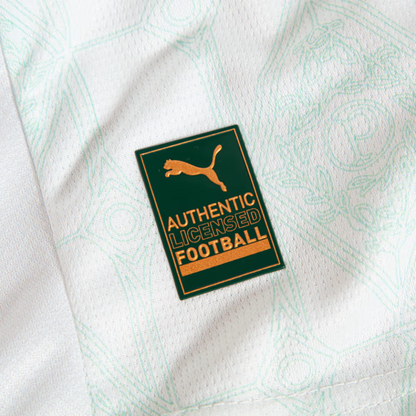 Jersey Palmeiras 2025/26 II Player