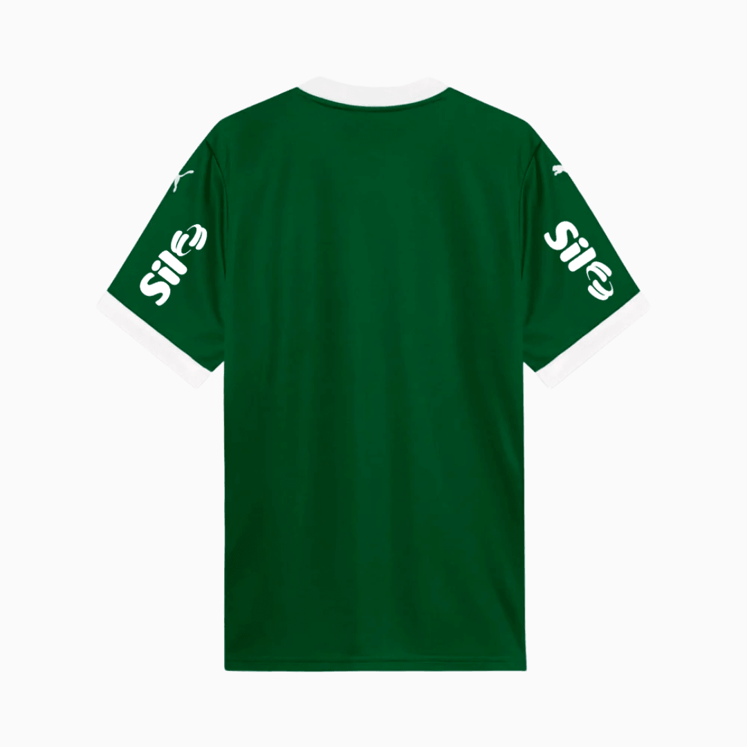 Jersey Palmeiras 2025/26 I Aficionado con patrocinadores