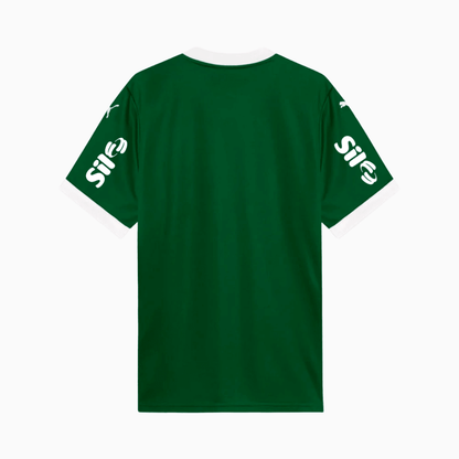 Jersey Palmeiras 2025/26 I Aficionado con patrocinadores