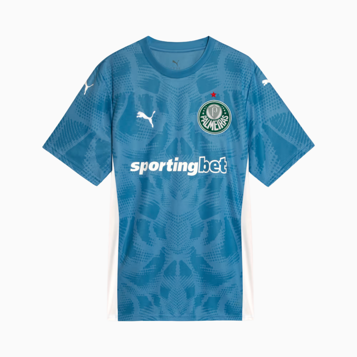 Camiseta de portero Palmeiras 2025/26 Portero I
