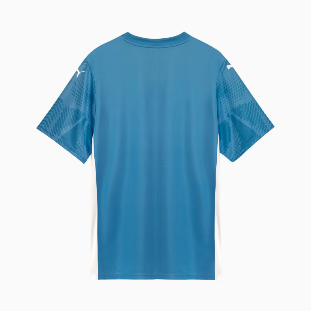 Camiseta de portero Palmeiras 2025/26 Portero I