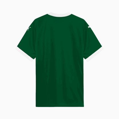 Jersey Palmeiras 2025/26 I Fan