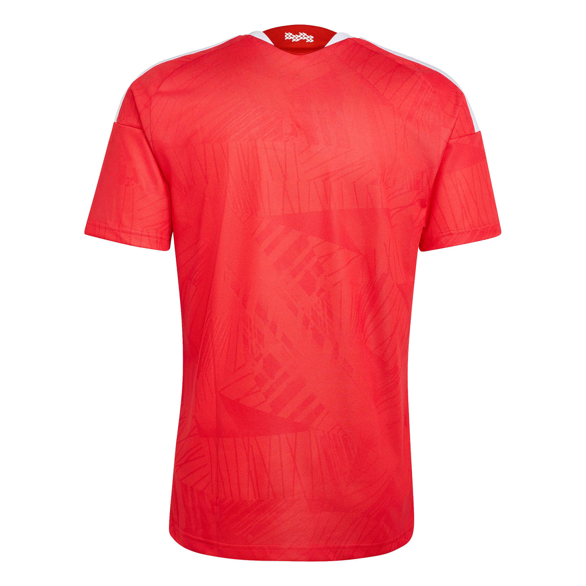 Jersey Benfica 2026/27 I Fan Man