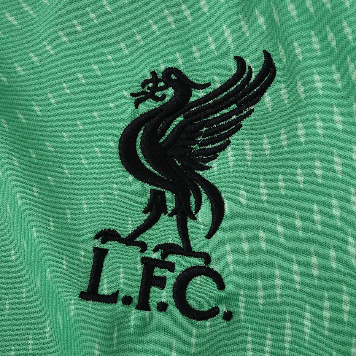 Goalkeeper Jersey 25/26