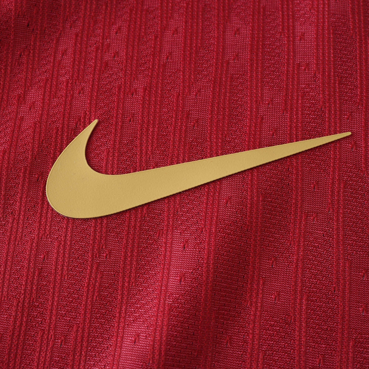 Player Version Home Jersey 24/25
