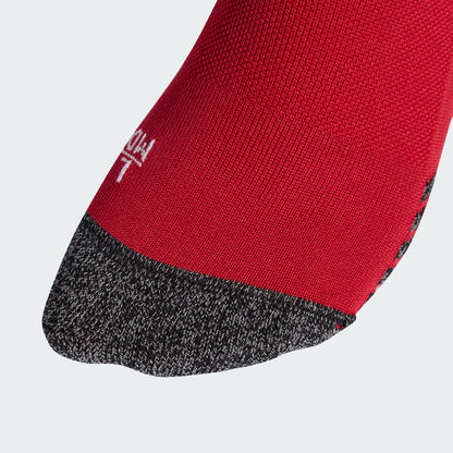 Home Socks 25/26