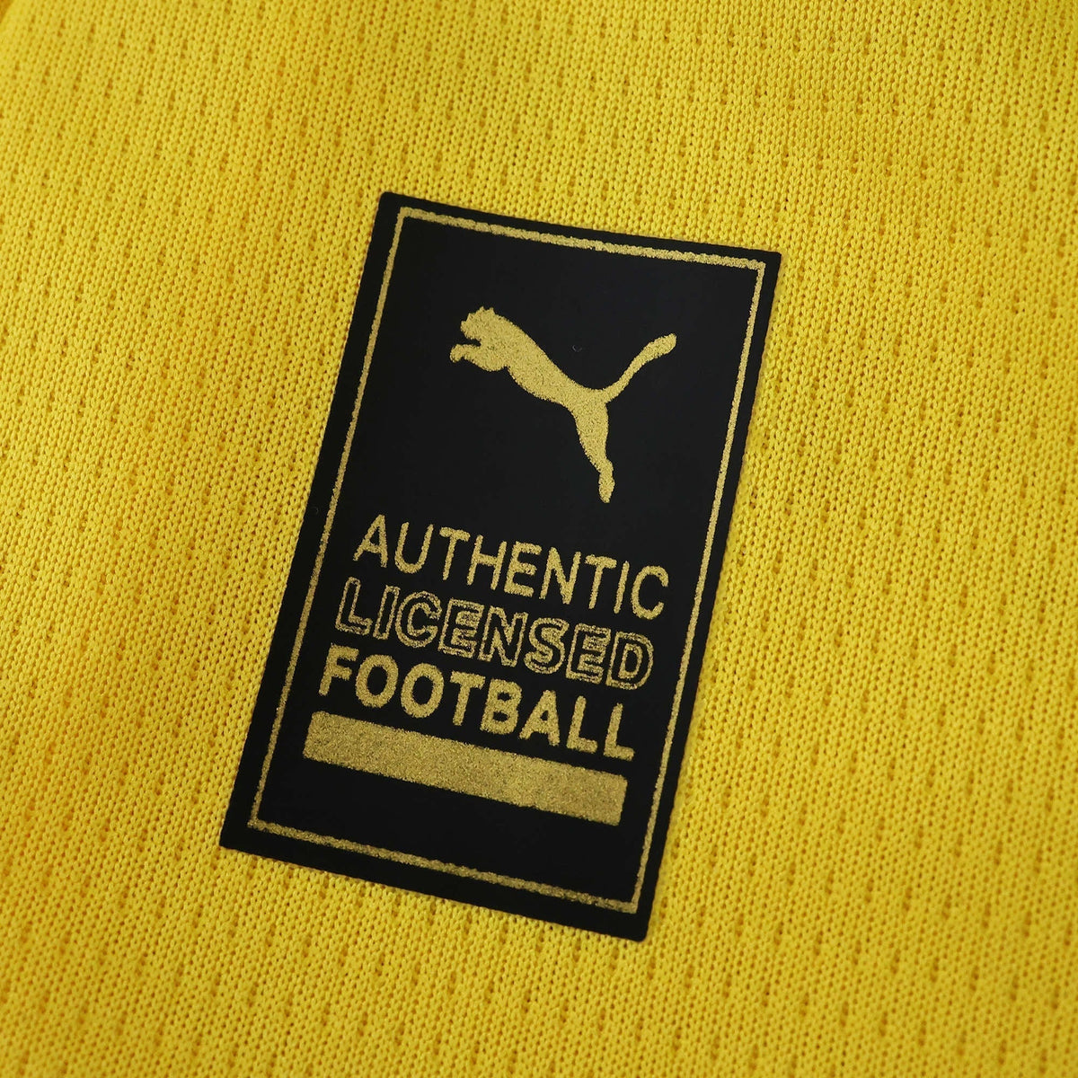 Men's Home Jersey 25/26