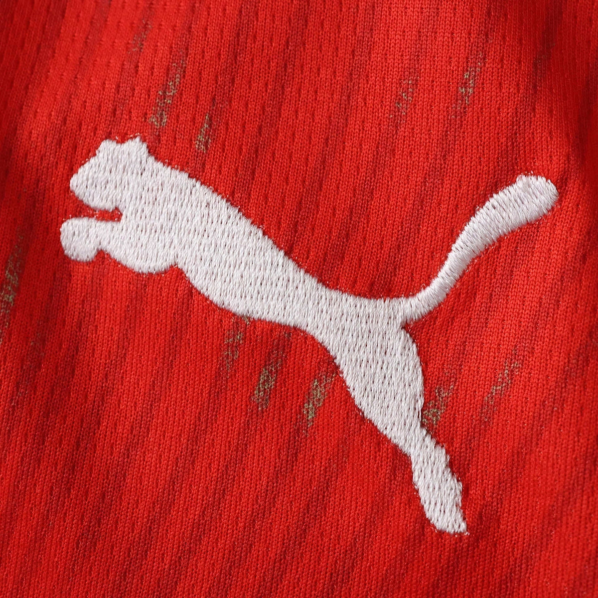 Men's Home Jersey 26/27