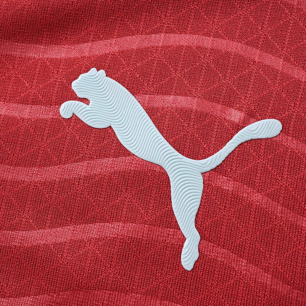 Player Version Home Jersey 26/27