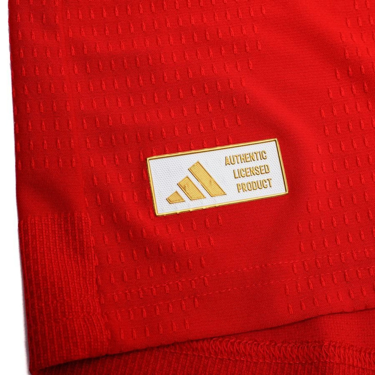 Player Version Home Long Sleeve Jersey 26/27