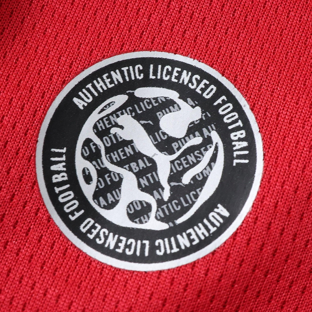 Men's Home Jersey 26/27