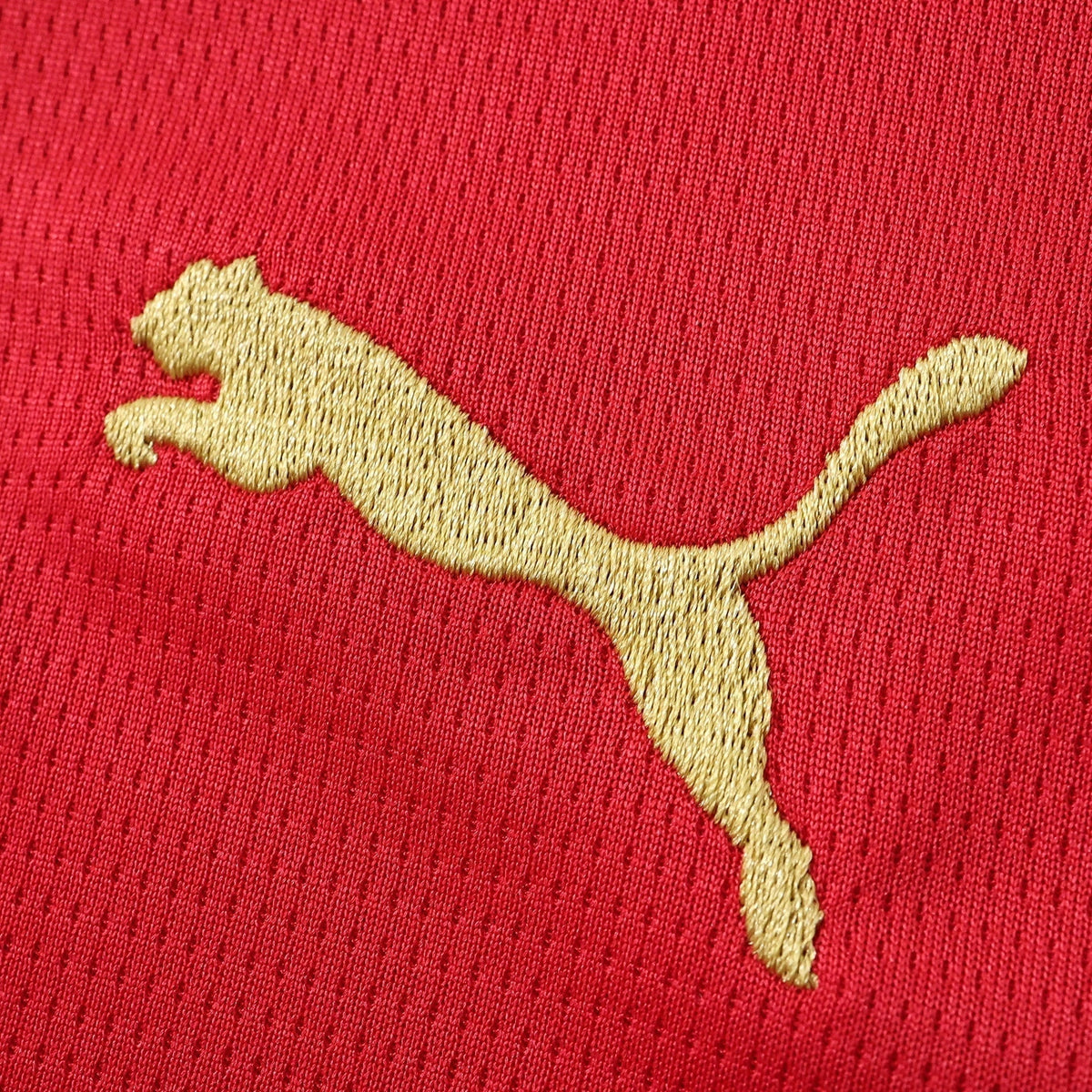 Men's Home Jersey 26/27