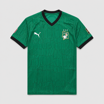 Player Version Special Edition Jersey 24/25
