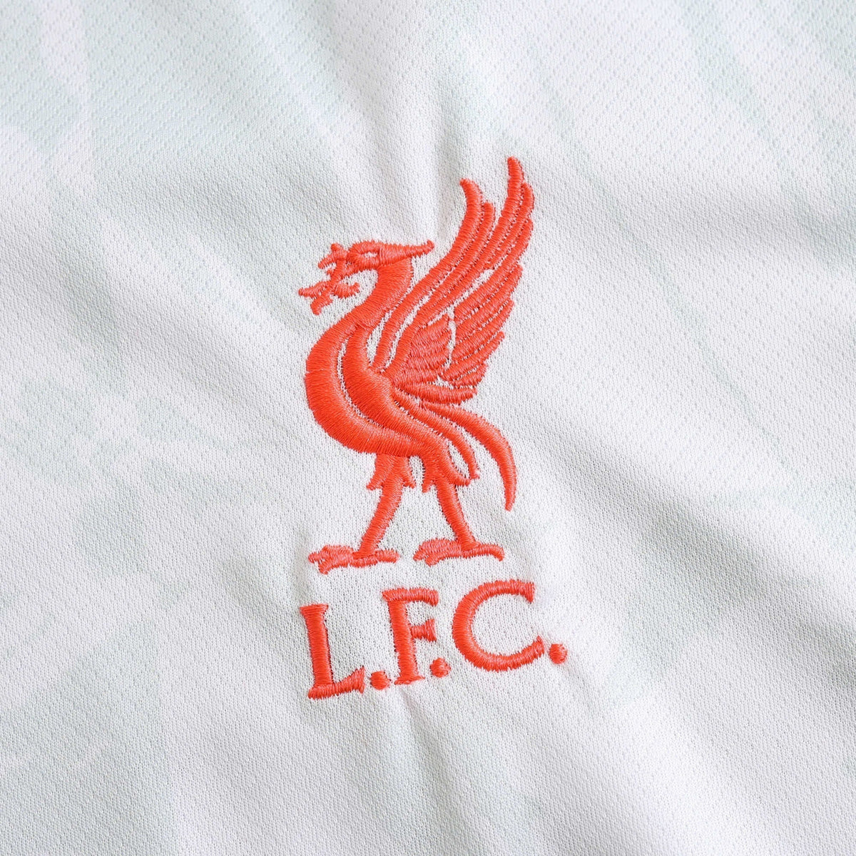 Men's Third Jersey 24/25