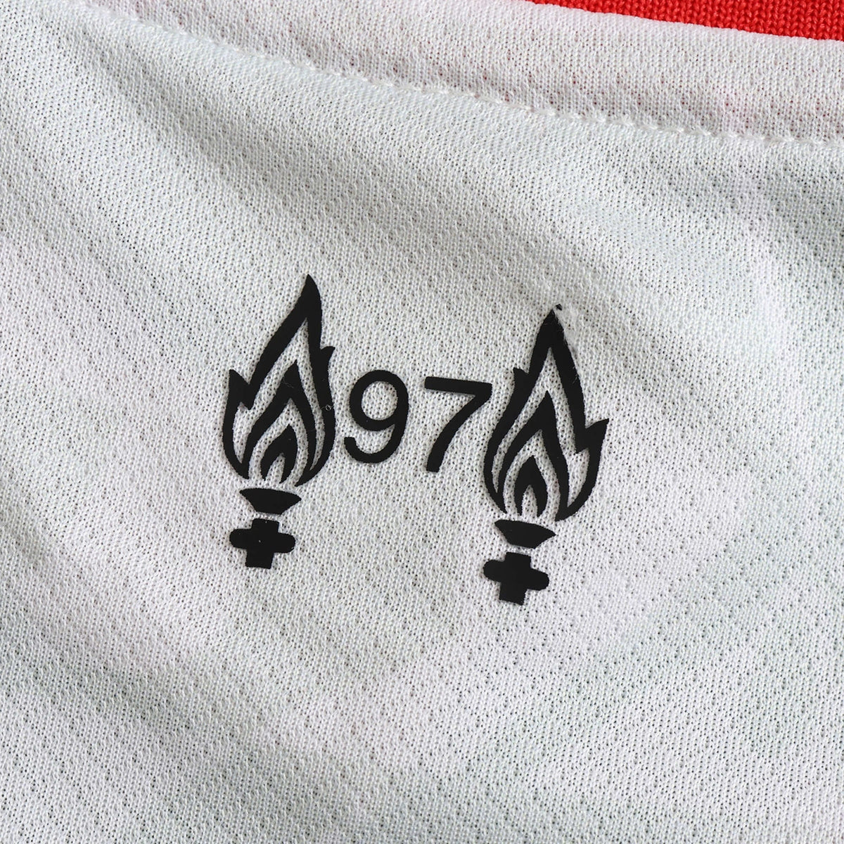 Men's Third Jersey 24/25