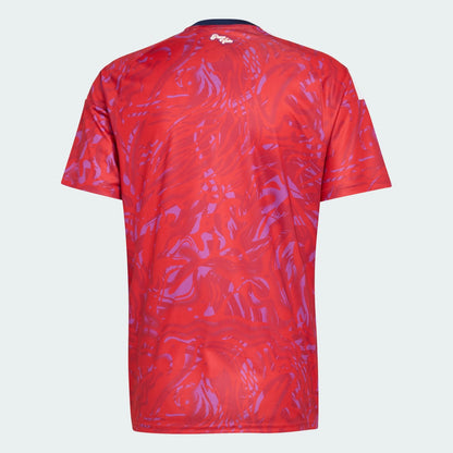 Camiseta de Costa Rica 2026 I Fan de la Copa Mundial
