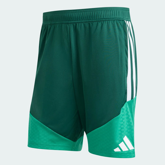 Pantalones cortos Argelia 2026 I Entrenamiento Copa Mundial